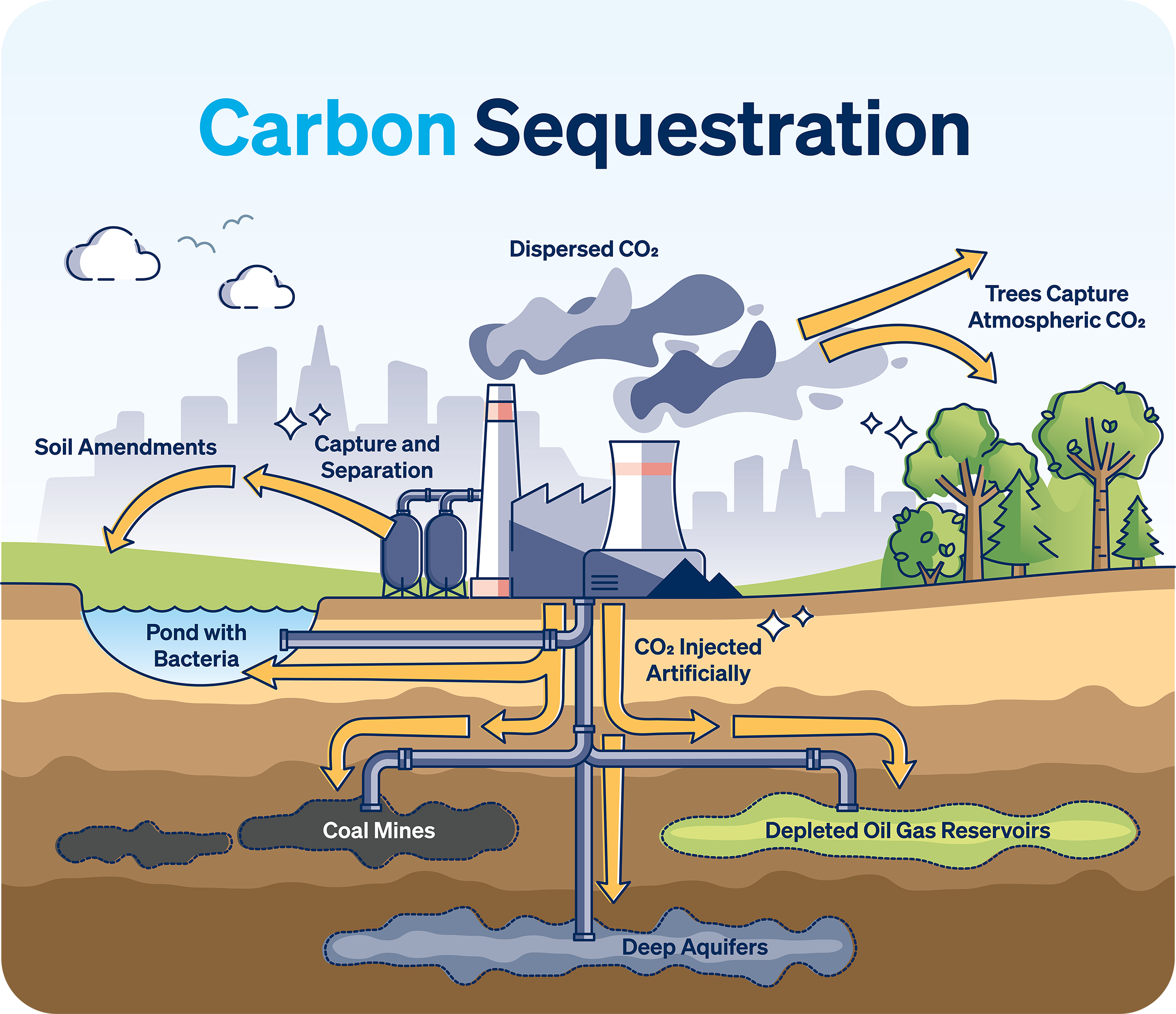 Carbon Sequestration Cycle
