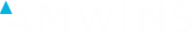 AmWINS Logo