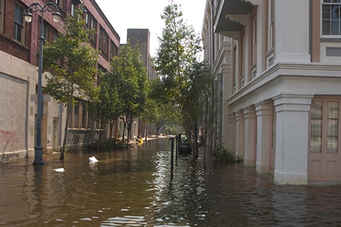 Commercial Flood Market