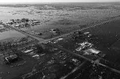 Hurricane damaged area