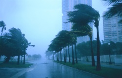 Hurricane Insurance Claims