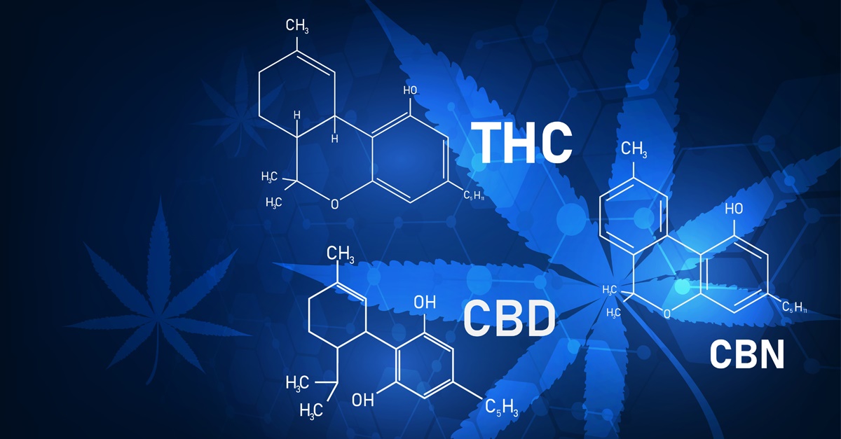 Cannabis Chemical Makeup Illustration