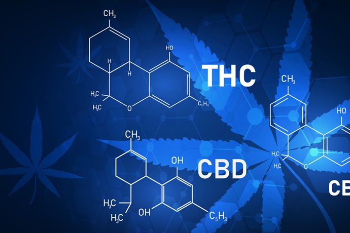 Cannabis Chemical Makeup Illustration