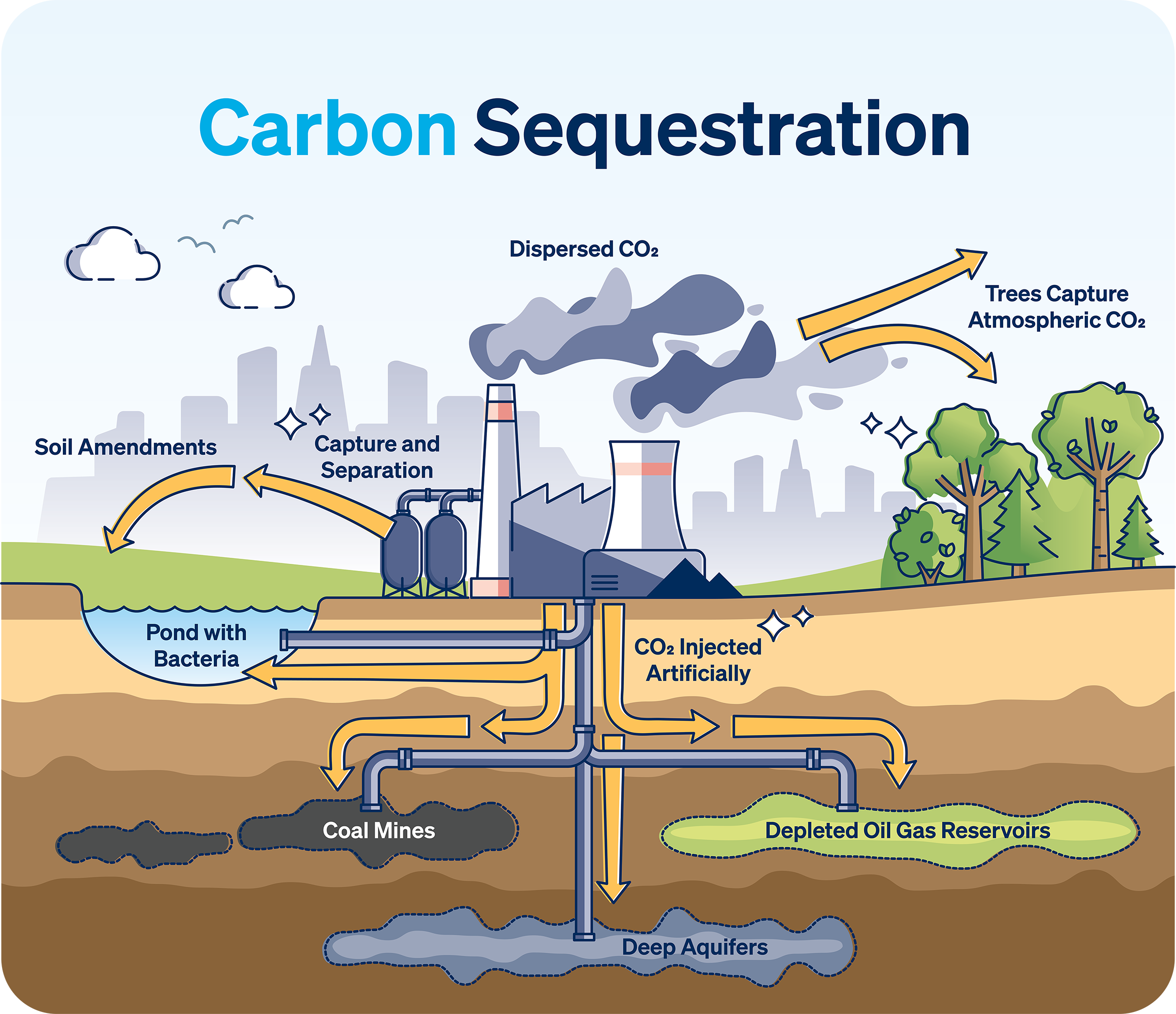 What is carbon sequestration?