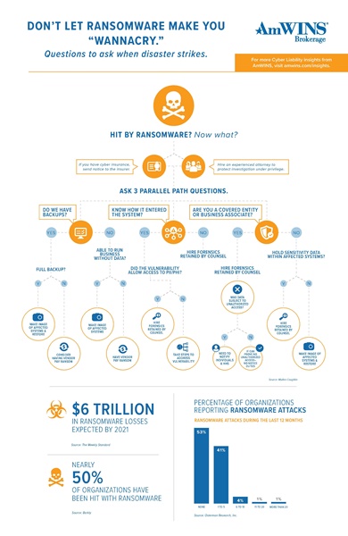 Ransomware Infographic Ransomware Infographic