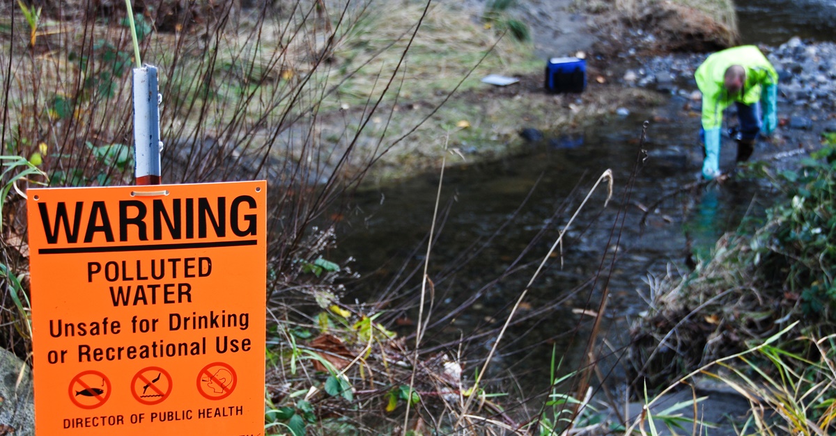 Scientist tests water from polluted creek