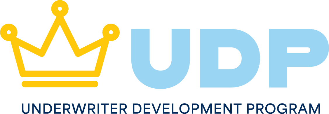UDP_logo_clr